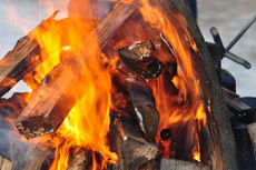 feuer210711.jpg