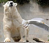 Tierwelten entdecken im Zoo Rostock mit Darwineum Tierwelten entdecken im Zoo Rostock mit Darwineum